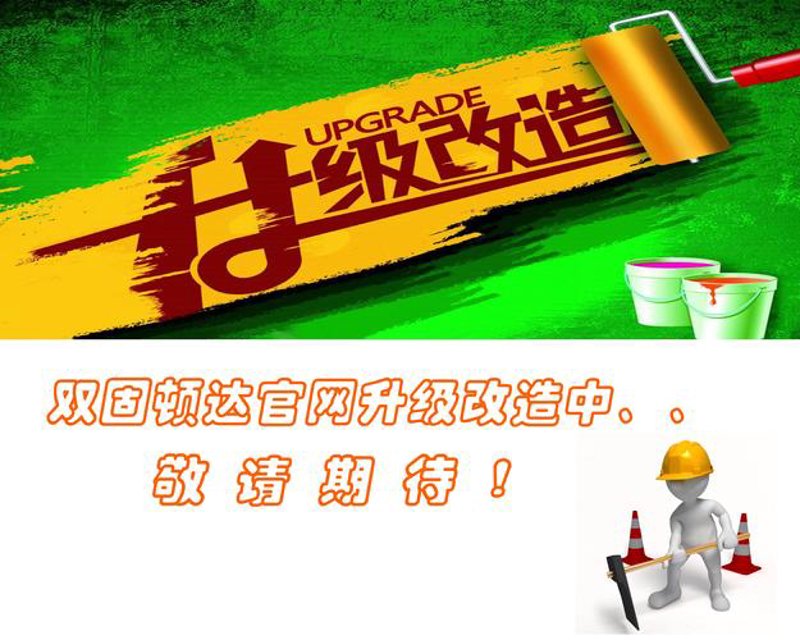 上海网站建设：企业数字化转型的桥梁